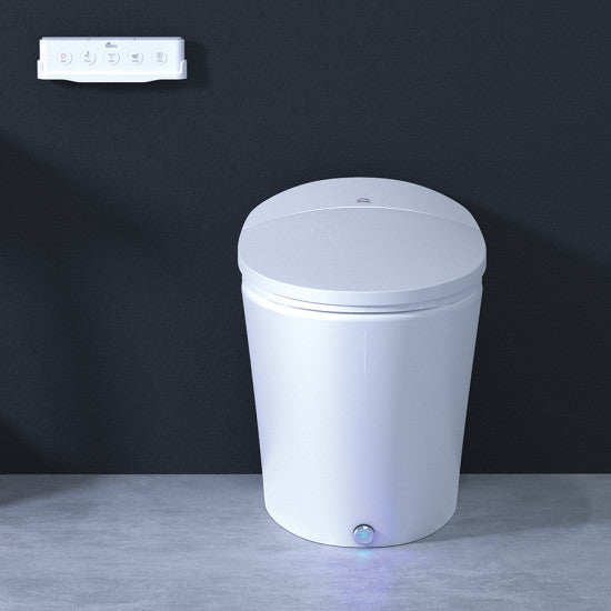 Sanctuary Elongated Plastic-Ceramic Smart Bidet Toilet (S-5000E) By Bemis