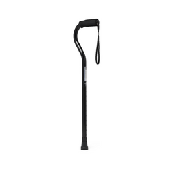 Aluminum Fashion Cane right side View