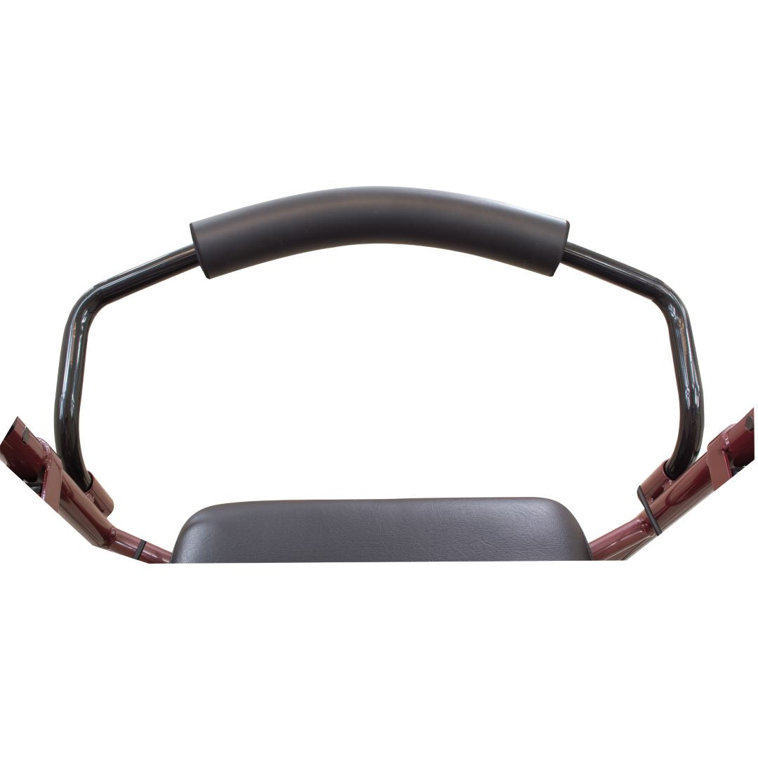 ProBasics Steel Rollator 6 top view showing padded backrest and molded handles above black seat